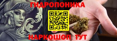 стаф Бийск