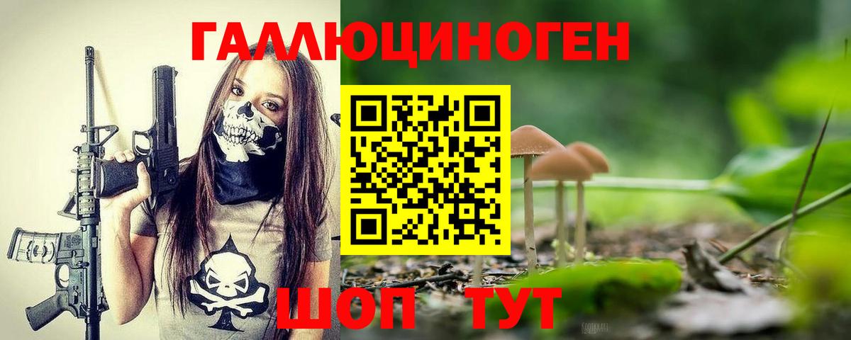 Горячий Ключ  Псилоцибиновые грибы Psilocybe  Вход с VPN 
